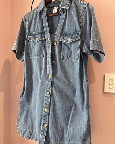 Size 10 denim dress