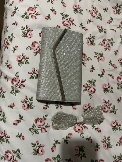 silver fashion nova purse