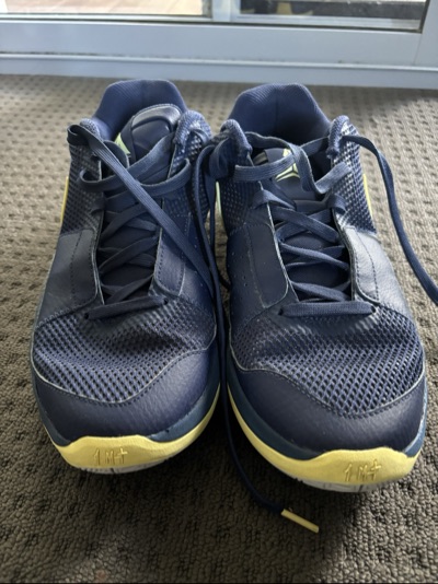 Nike basketball shoes