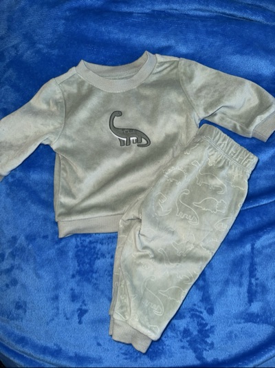 Sage Green Dinosaur 2-Piece Sweatshirt & Pants Outfit Set | 00 (3-6M)