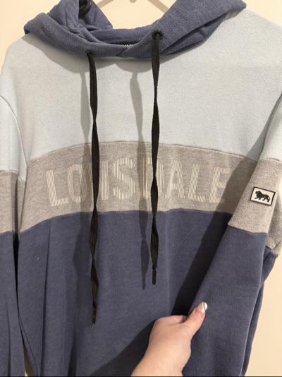 Lonsdale colour-block hoodie