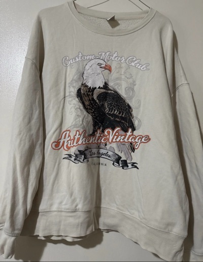 Graphic eagle crew-neck jumper