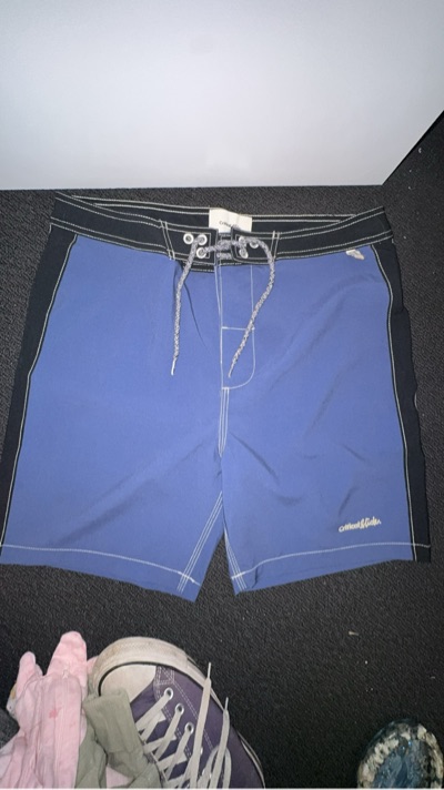 Critical Slide blue board shorts sz 30