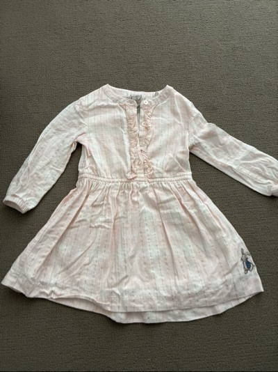Peter rabbit dress