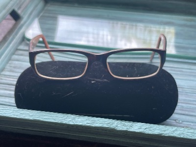 Ralph Lauren rectangular eyeglasses in brown and pink