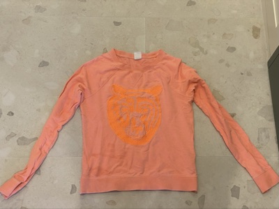 Running Bare orange cotton tiger sweatshirt