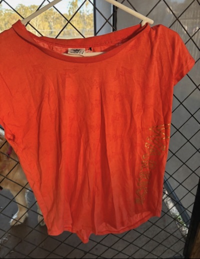 Wonder Woman Warrior shirt